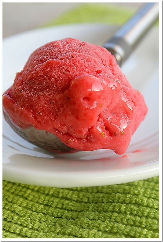 strawberry yogurt sorbet