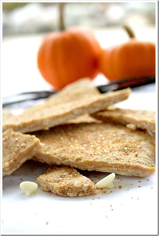 pumpkin-pie-bark-2